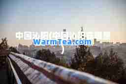中国沁阳(中国沁阳在哪里)
