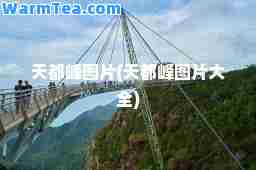 天都峰图片(天都峰图片大全)