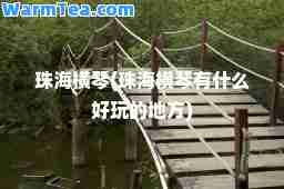 珠海横琴(珠海横琴有什么好玩的地方)