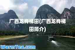 广西龙脊梯田(广西龙脊梯田简介)