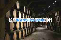 拉菲酒庄(拉菲酒庄图片)