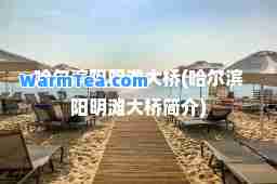 哈尔滨阳明滩大桥(哈尔滨阳明滩大桥简介)