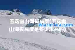 玉龙雪山海拔高度(玉龙雪山海拔高度是多少米高的)