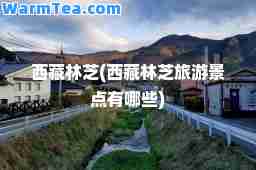 林芝(林芝旅游景点有哪些)