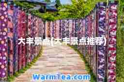 大丰景点(大丰景点)