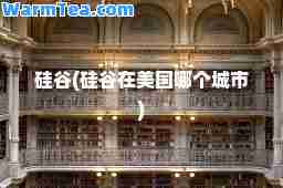 硅谷(硅谷在美国哪个城市)