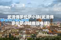 武清佛罗伦萨小镇(武清佛罗伦萨小镇客服电话)