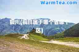 铜川(铜川属于哪个省哪个区)