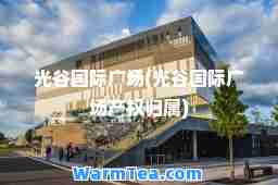 光谷广场(光谷广场产权归属)