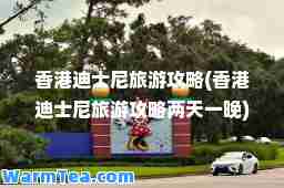 迪士尼旅游攻略(迪士尼旅游攻略两天一晚)