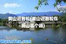黄山迎客松(黄山迎客松在黄山哪个峰)
