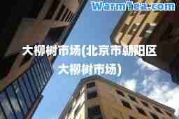 大柳树市场(北京市朝阳区大柳树市场)