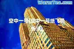空中一号(空中一号纸飞机折法)