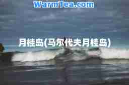 月桂岛(马尔代夫月桂岛)