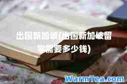 出国新加坡(出国新加坡留学需要多少钱)