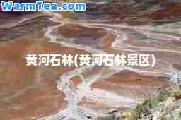 黄河石林(黄河石林景区) 黄河石林(黄河石林景区)