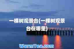 一棵树观景台(一棵树观景台在哪里)