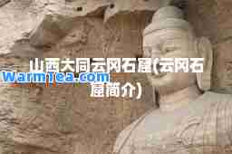 山西大同云冈石窟(云冈石窟简介)