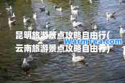 昆明旅游景点攻略自由行(云南旅游景点攻略自由行)