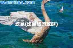 坎昆(坎昆旅游攻略)