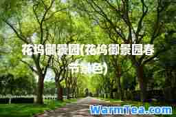花坞御景园(花坞御景园春节景色)