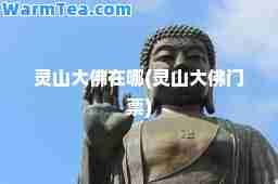 灵山大佛在哪(灵山大佛门票)
