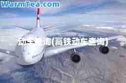 动车查询(高铁动车查询)