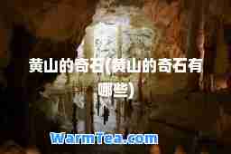黄山的奇石(黄山的奇石有哪些)
