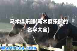 马术俱乐部(马术俱乐部的名字大全)