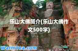 乐山大佛简介(乐山大佛作文500字)