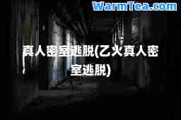 真人密室逃脱(乙火真人密室逃脱)