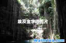 埃及金字塔图片