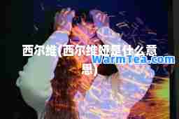 西尔维(西尔维娅是什么意思)
