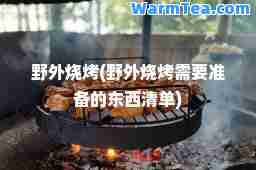 野外烧烤(野外烧烤需要准备的东西清单)