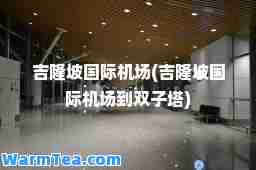 吉隆坡机场(吉隆坡机场到双子塔)