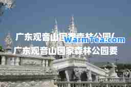 广东观音山国家森林公园(广东观音山国家森林公园要门票吗)
