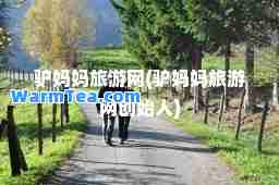 驴妈妈旅游网(驴妈妈旅游网创始人)