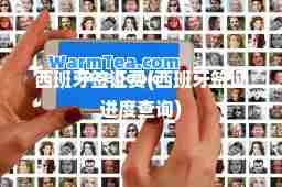西班牙签证费(西班牙签证进度查询)