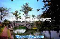 黄盖湖(黄盖湖面积多大)