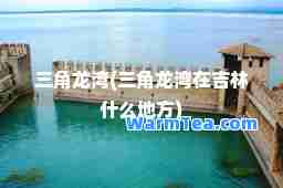 三角龙湾(三角龙湾在吉林什么地方)