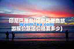 印尼巴厘岛(印尼巴厘岛旅游报价跟团价格要多少)