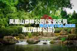 凤凰山森林公园(宝安区凤凰山森林公园)
