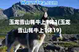 玉龙雪山牦牛上1休1(玉龙雪山牦牛上1休19)