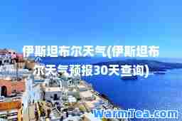 伊斯坦布尔天气(伊斯坦布尔天气预报30天查询)