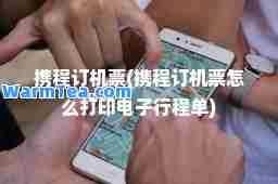 携程订机票(携程订机票怎么打印电子行程单)