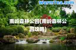 南岭森林公园(南岭森林公园攻略)