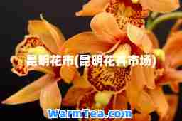 昆明花市(昆明花卉市场)