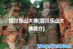四川乐山大佛(四川乐山大佛简介)