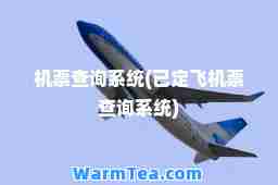 机票查询系统(已定飞机票查询系统)