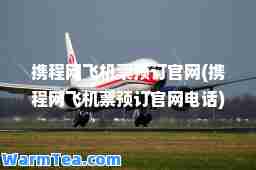 携程网飞机票预订官网(携程网飞机票预订官网电话)